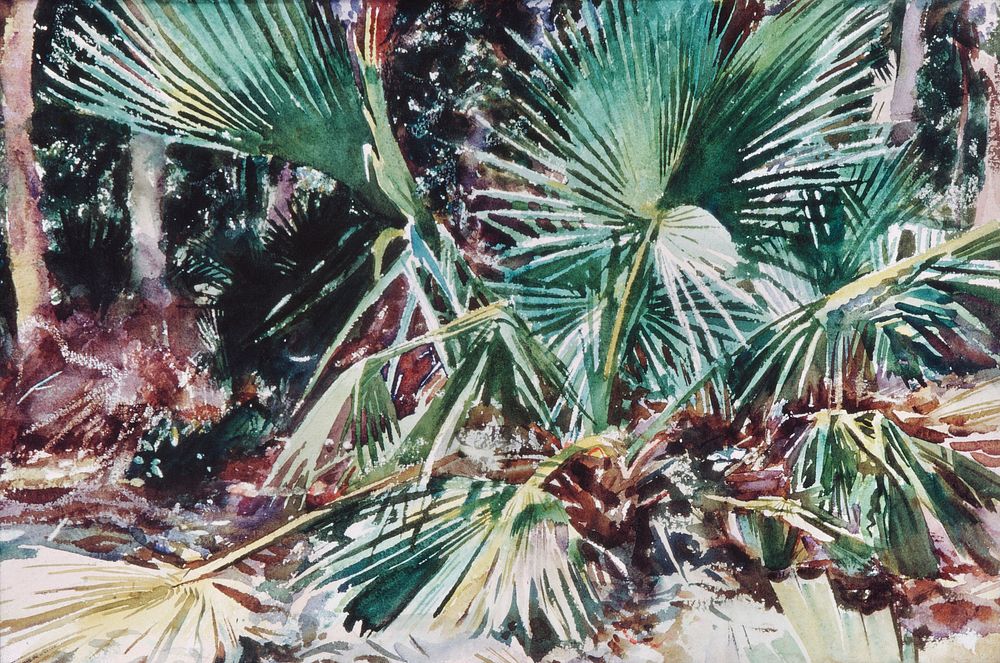 Palmettos (1917) by John Singer Sargent. Original from The MET Museum. Digitally enhanced by rawpixel.