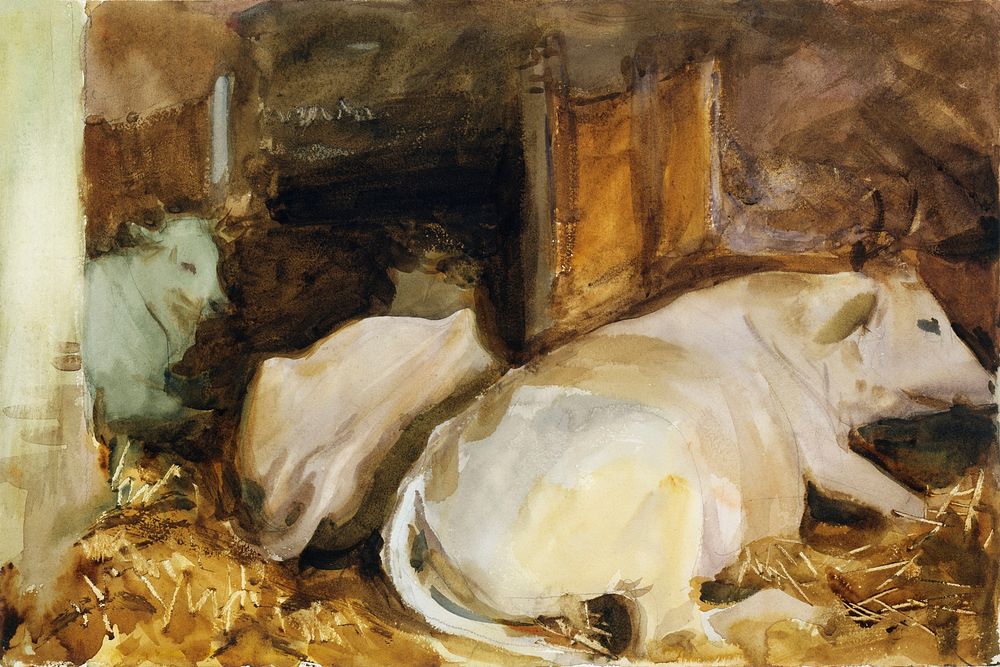 Three Oxen (ca. 1910) by John Singer Sargent. Original from The MET Museum. Digitally enhanced by rawpixel.