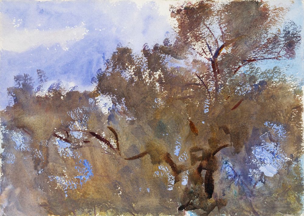 Treetops against Sky (ca. 1909&ndash;1913) by John Singer Sargent. Original from The MET Museum. Digitally enhanced by…