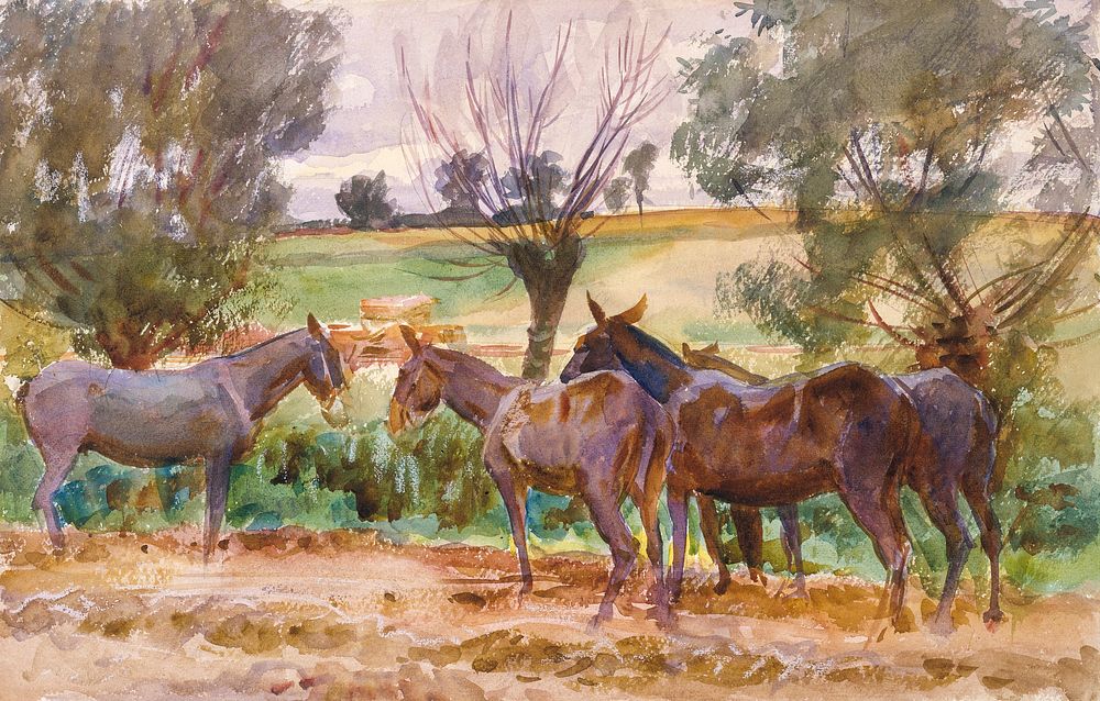 Mules (1918) by John Singer Sargent. Original from The MET Museum. Digitally enhanced by rawpixel.