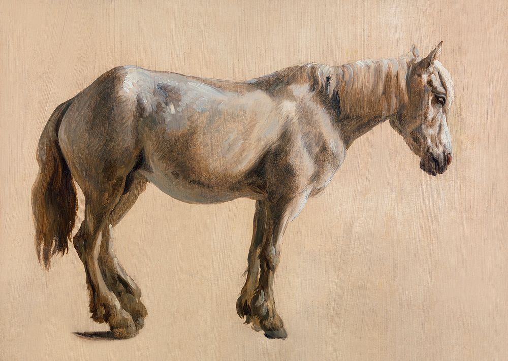 Study of a Grey Horse (ca. 1800) painting in high resolution by Jacques&ndash;Laurent Agasse. Original from The Yale…