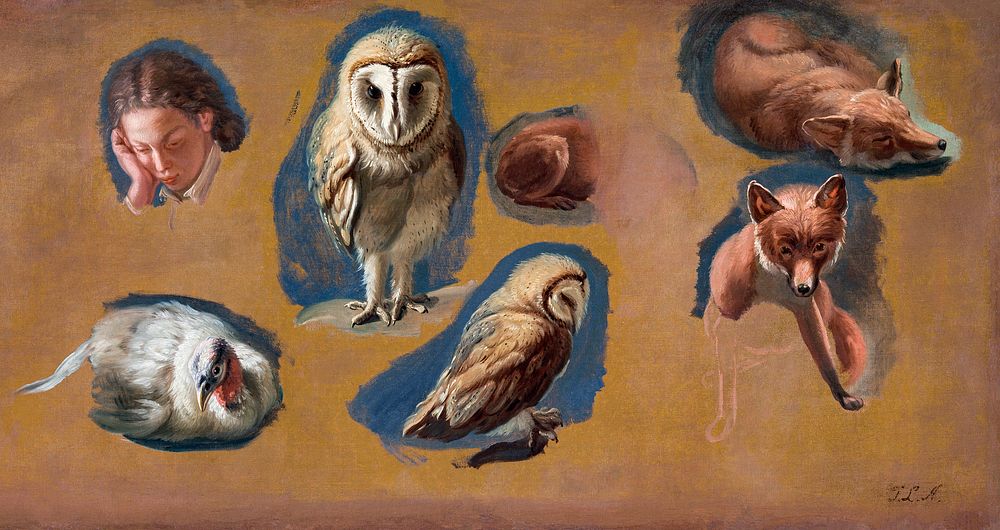 Studies of a Fox, a Barn Owl, a Peahen, and the Head of a Young Man (ca. 1815) painting in high resolution by…