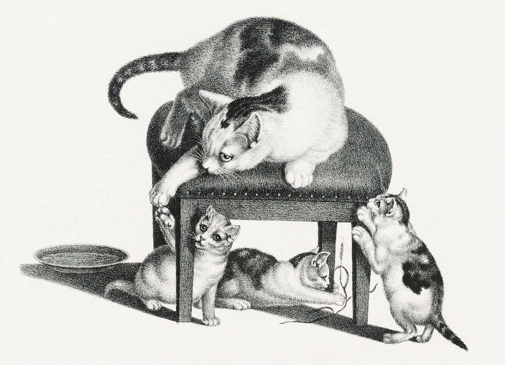 Illustration of domestic cat on a stool and three playful kittens by Gottfried Mind (1768-1814). Original from Library of…