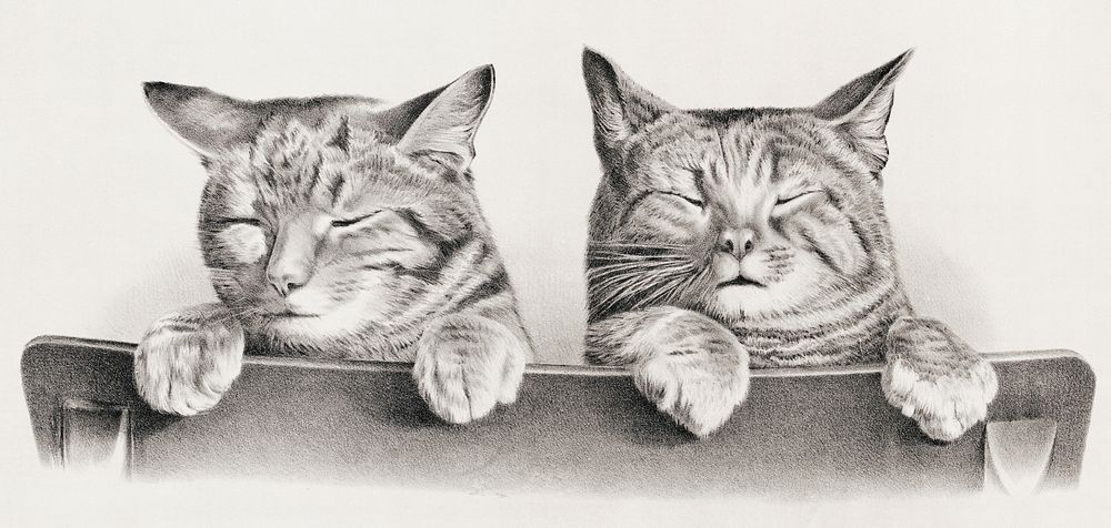 Cats by Thomas Hunter. Original from Library of Congress. Digitally enhanced by rawpixel.