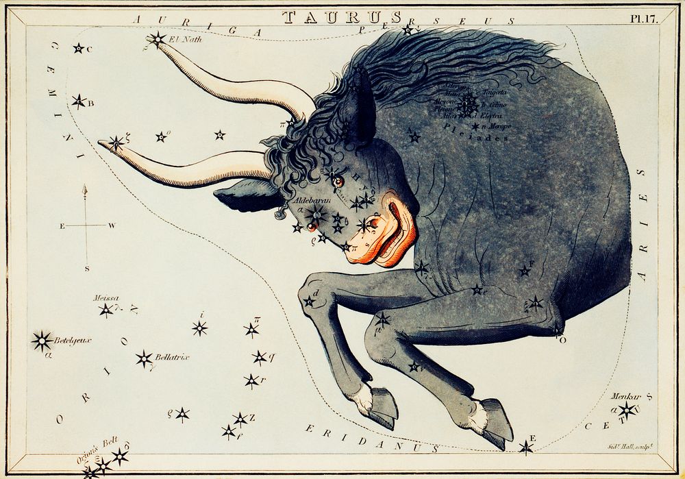 Sidney Hall&rsquo;s (?-1831) astronomical chart illustration of the Taurus. Original from Library of Congress. Digitally…