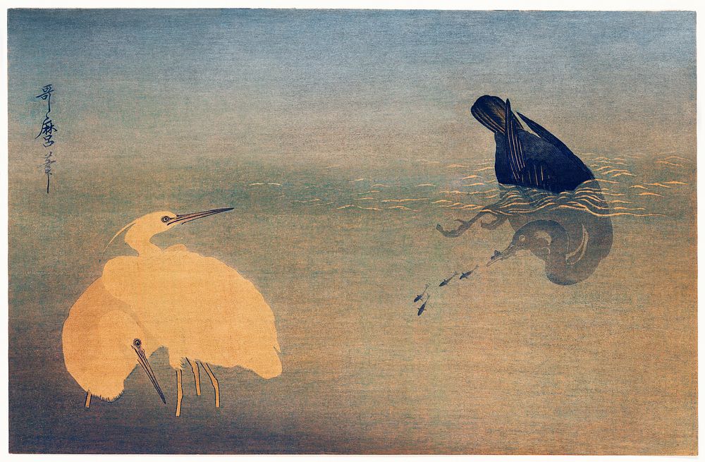 U to Shirasagi by Utamaro Kitagawa (1753-1806), a traditional Japanese ukiyo-e style illustration of a cormorant catching…