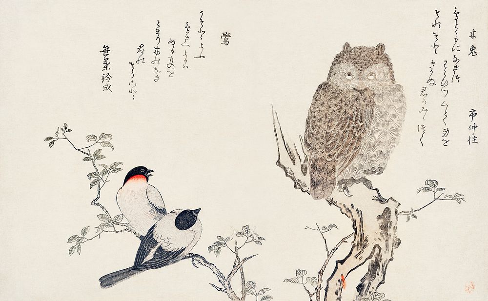 Mimizuku Uso by Utamaro Kitagawa (1753-1806), a traditional Japanese ukiyo-e style illustration of bullfinch and horned owl…