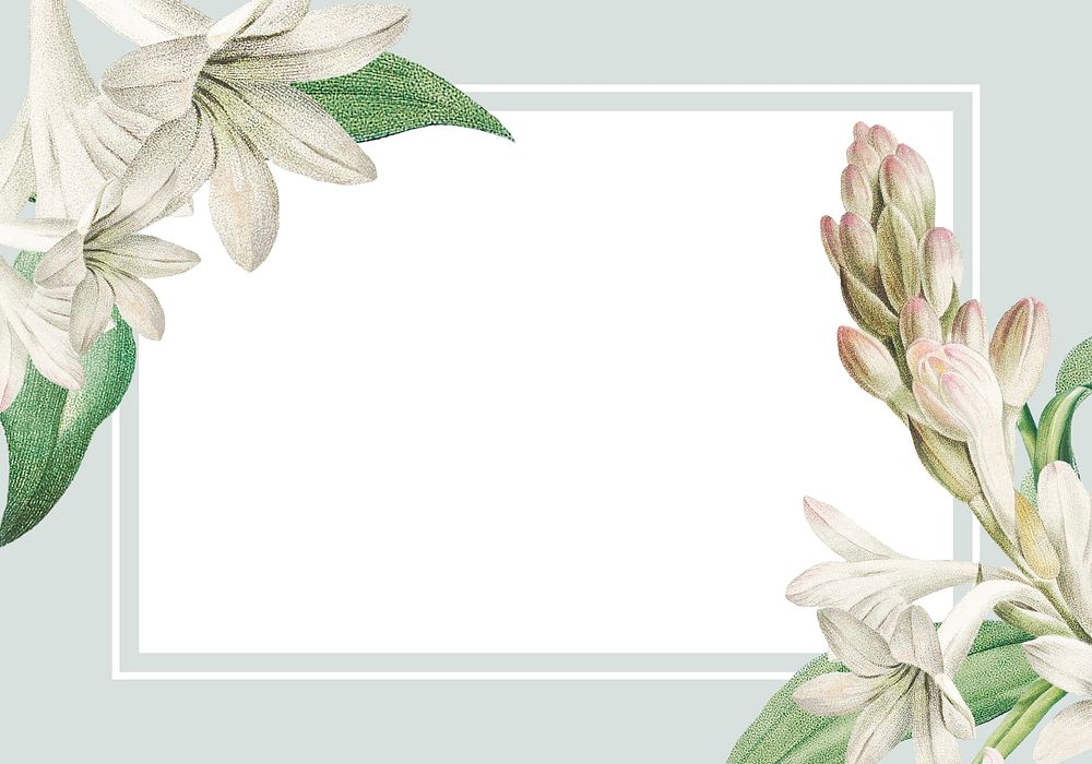 Vintage blank tuberose flower themed frame