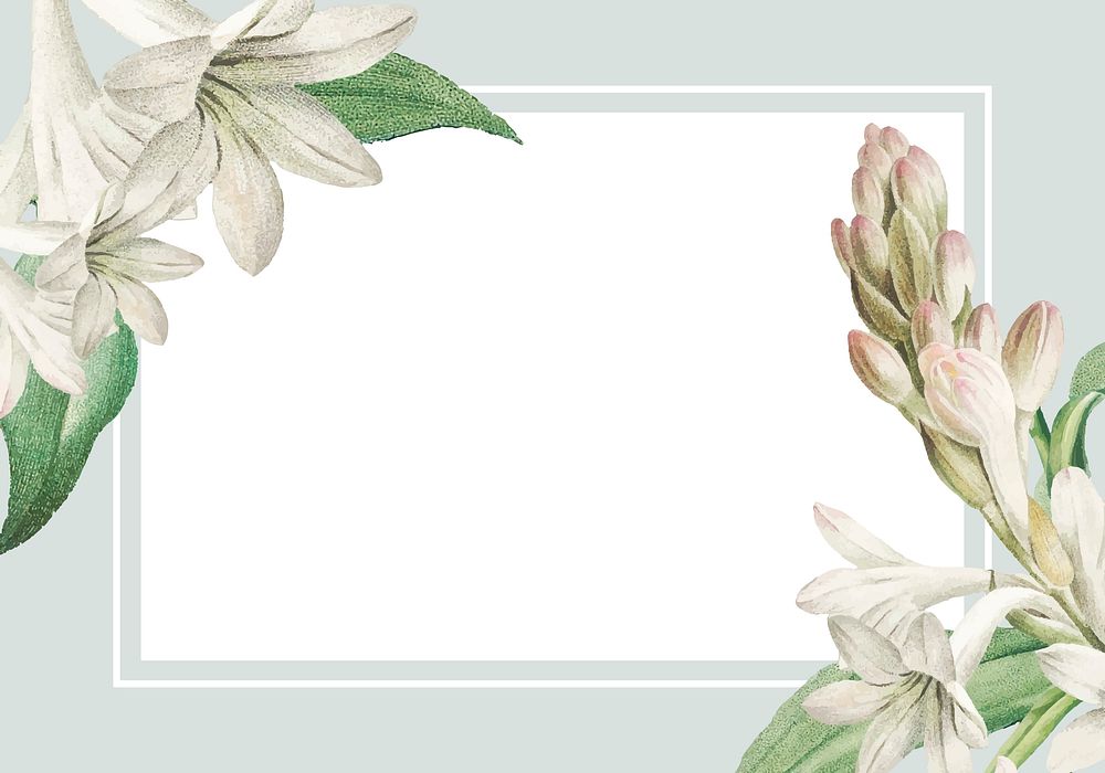 Vintage blank tuberose flower themed frame vector
