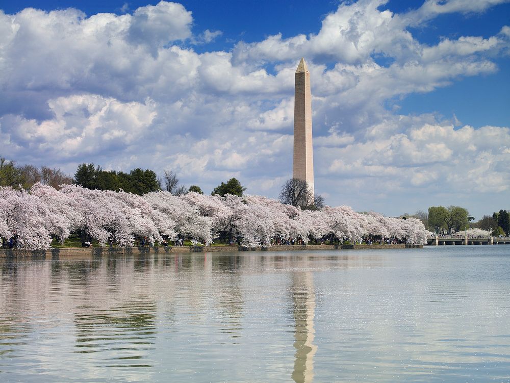 Washington Monument in spring. Original image from Carol M. Highsmith&rsquo;s America, Library of Congress collection.…