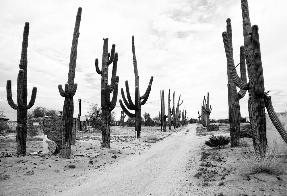 Rural Arizona near Florence, Arizona. Original image from Carol M. Highsmith&rsquo;s America, Library of Congress…