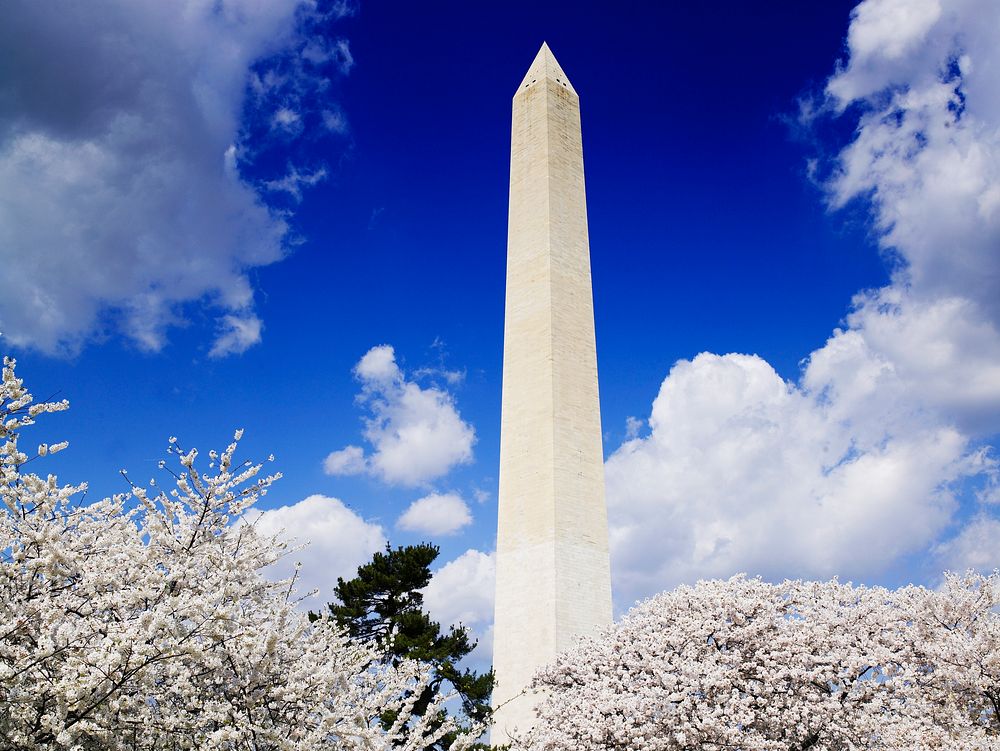 Washington Monument in spring. Original image from Carol M. Highsmith&rsquo;s America, Library of Congress collection.…