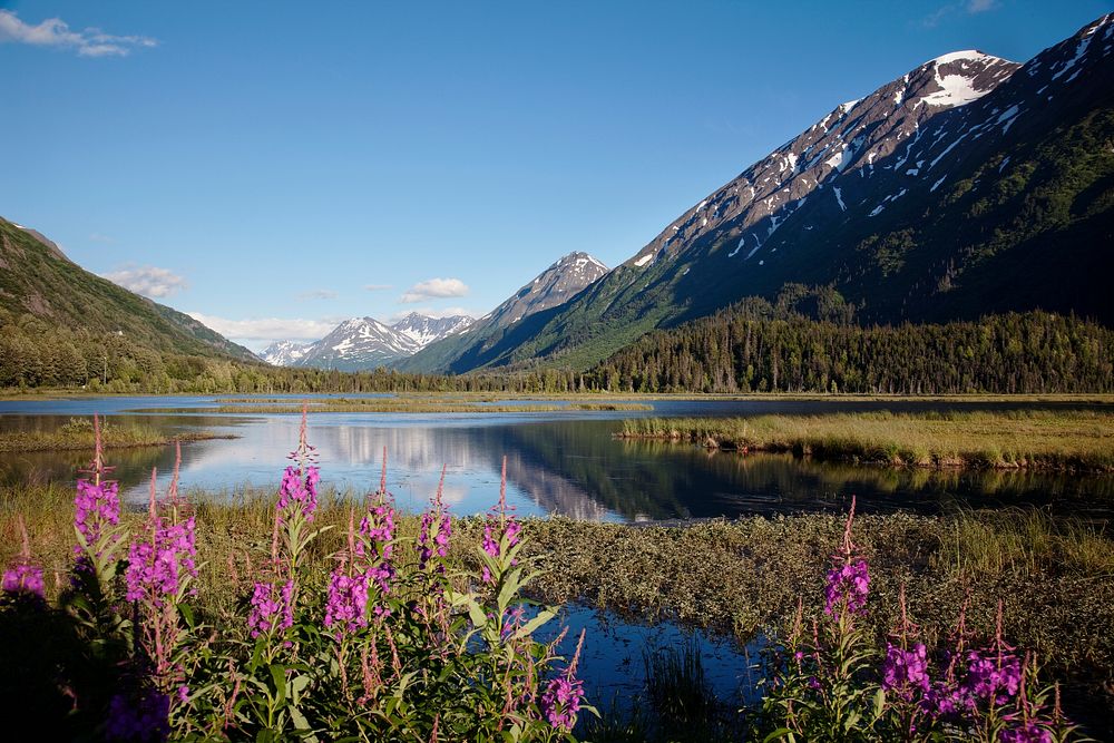 Scenic view from the Seward Highway in the Chugach National Forest. Original image from Carol M. Highsmith&rsquo;s America…