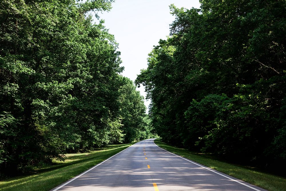 Natchez Trace parkway in Florence, Alabama. Old Mammoth Road. Original image from Carol M. Highsmith&rsquo;s America…