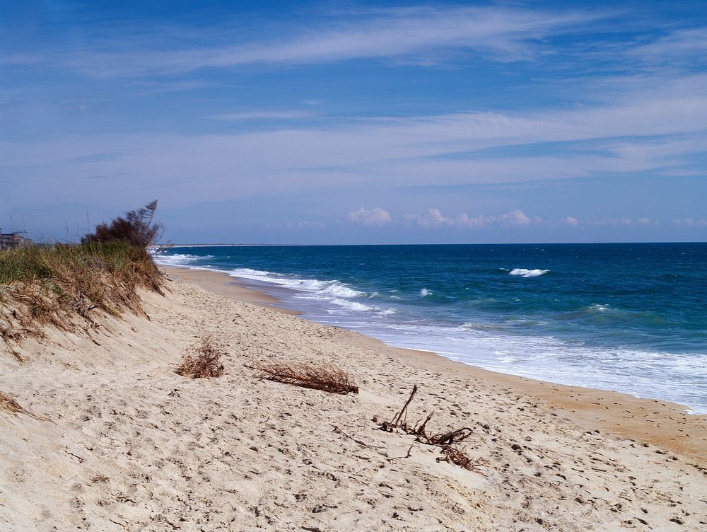 North Carolina Outer Banks Scene. Original image from Carol M. Highsmith&rsquo;s America, Library of Congress collection.…