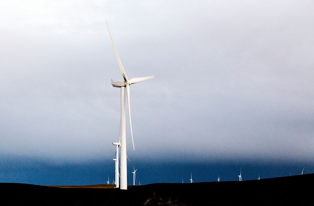 A wind farm off California Rt. 12 near Rio Vista in Solano County, California. Original image from Carol M.…