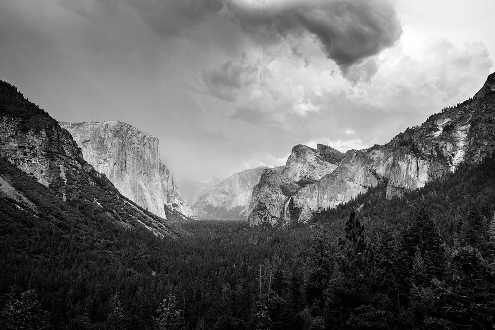 Yosemite National Park. Original image from Carol M. Highsmith&rsquo;s America, Library of Congress collection. Digitally…