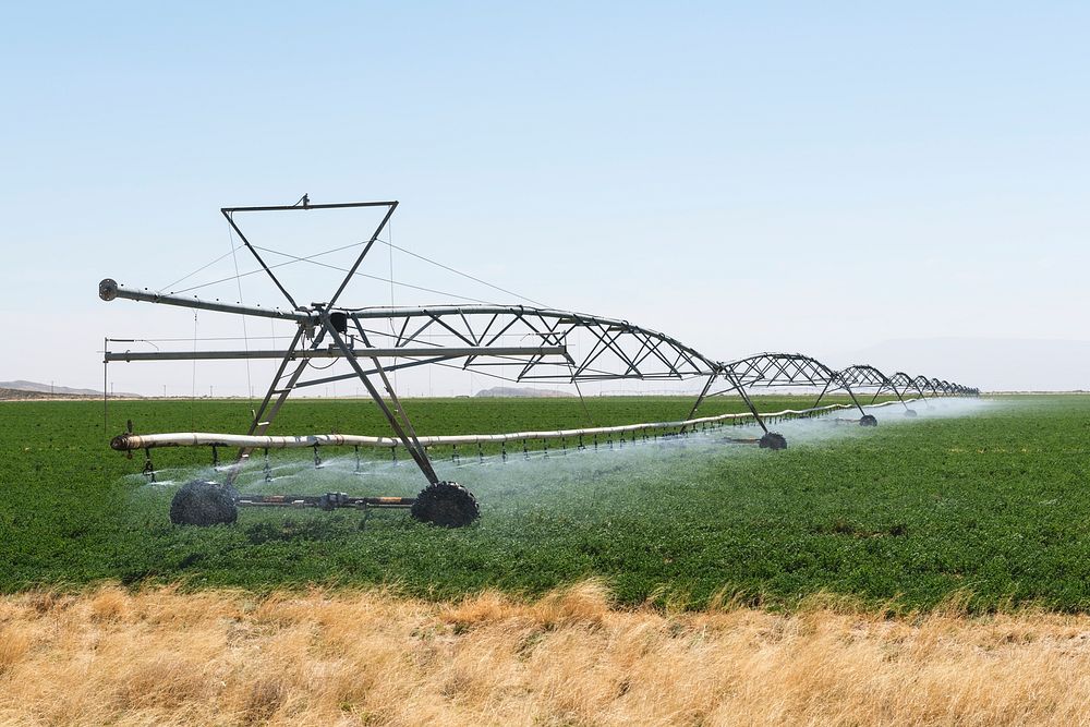 Rolling irrigation sprinkler at work along the road carrying U.S. Highways 62-180 near the New Mexico border in Hudspeth…