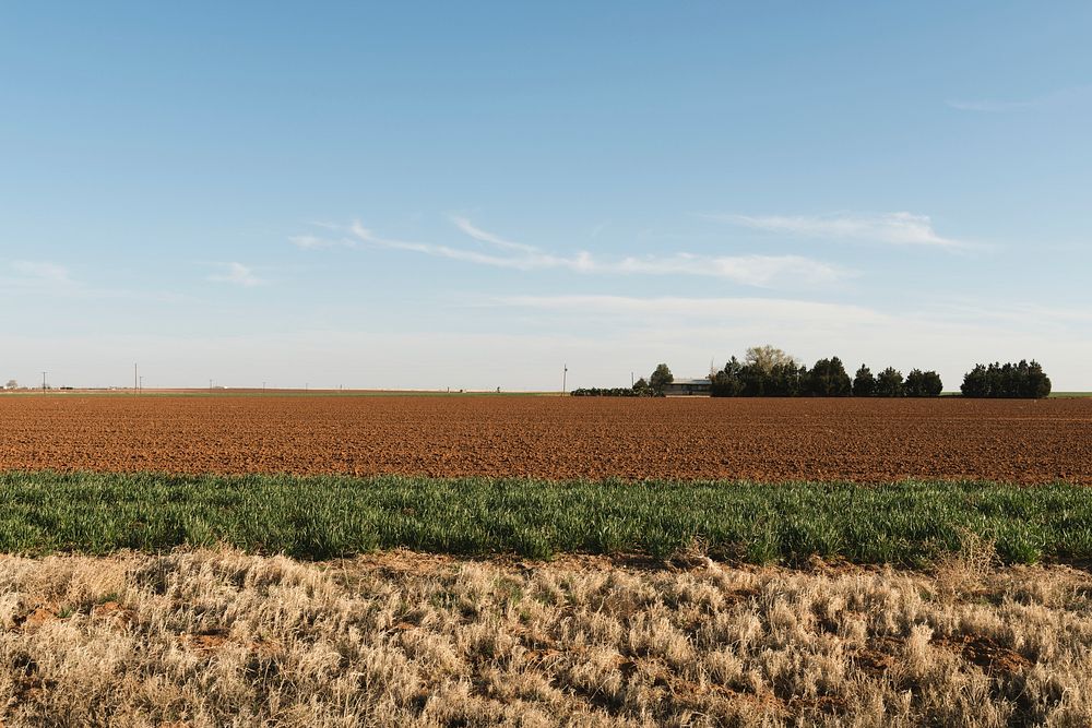 Multicolored farmland west of Lamesa in Dawson County, Texas. Original image from Carol M. Highsmith&rsquo;s America…