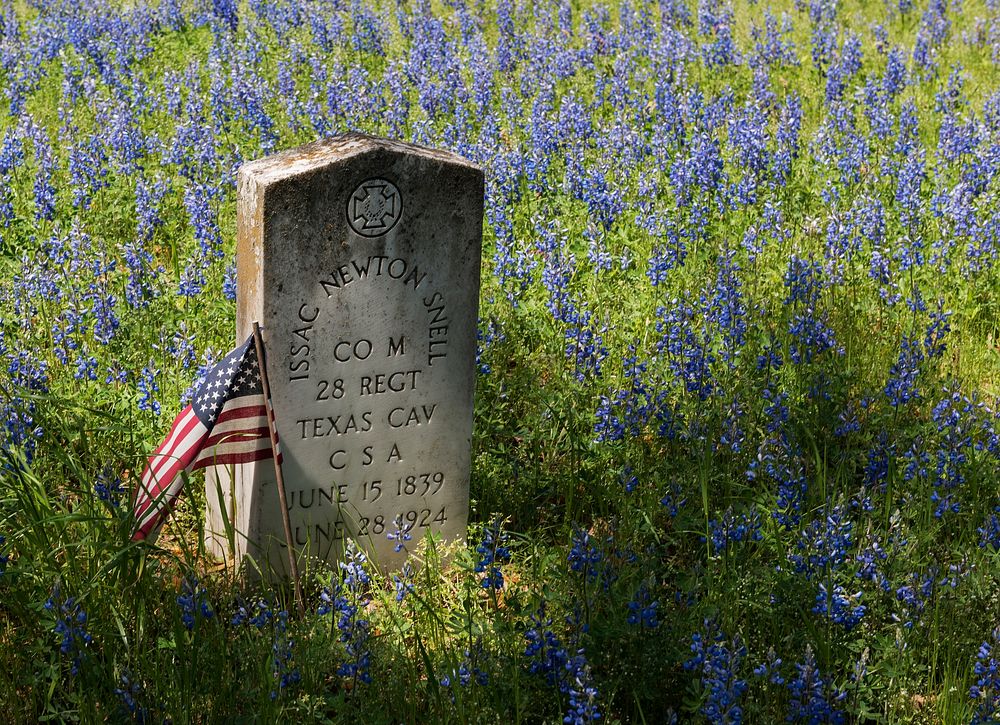 Headstone of a Confederate cavalryman amid a field of wildflowers in the Old Livingston Cemetery in Livingston in East…