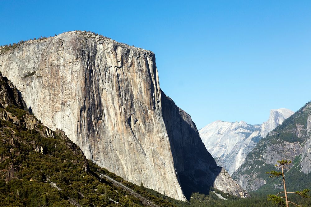 Yosemite National Park. Original image from Carol M. Highsmith&rsquo;s America, Library of Congress collection. Digitally…