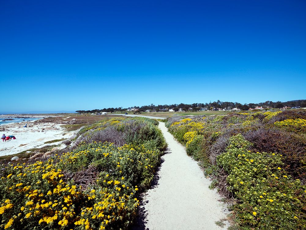 17-Mile Drive is a scenic road through Pacific Grove and Pebble Beach on the Monterey Peninsula in California. Original…