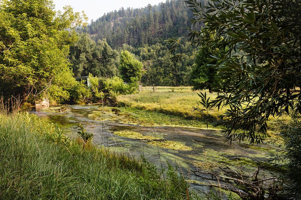 Trout stream at the Ranch A Education Center near Buelah, Wyoming. Original image from Carol M. Highsmith&rsquo;s America…