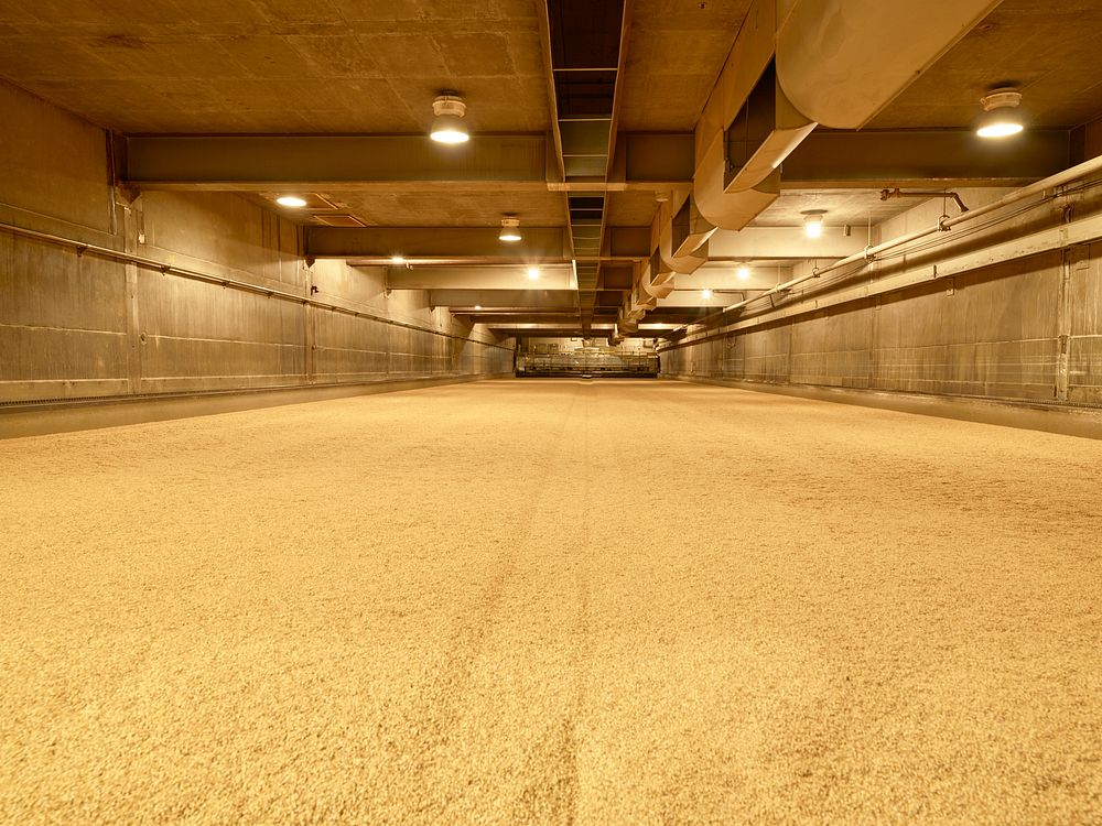 Kilns where soaked barley grains are dried and heated at the MillerCoors Brewery in Colorado. Original image from Carol M.…