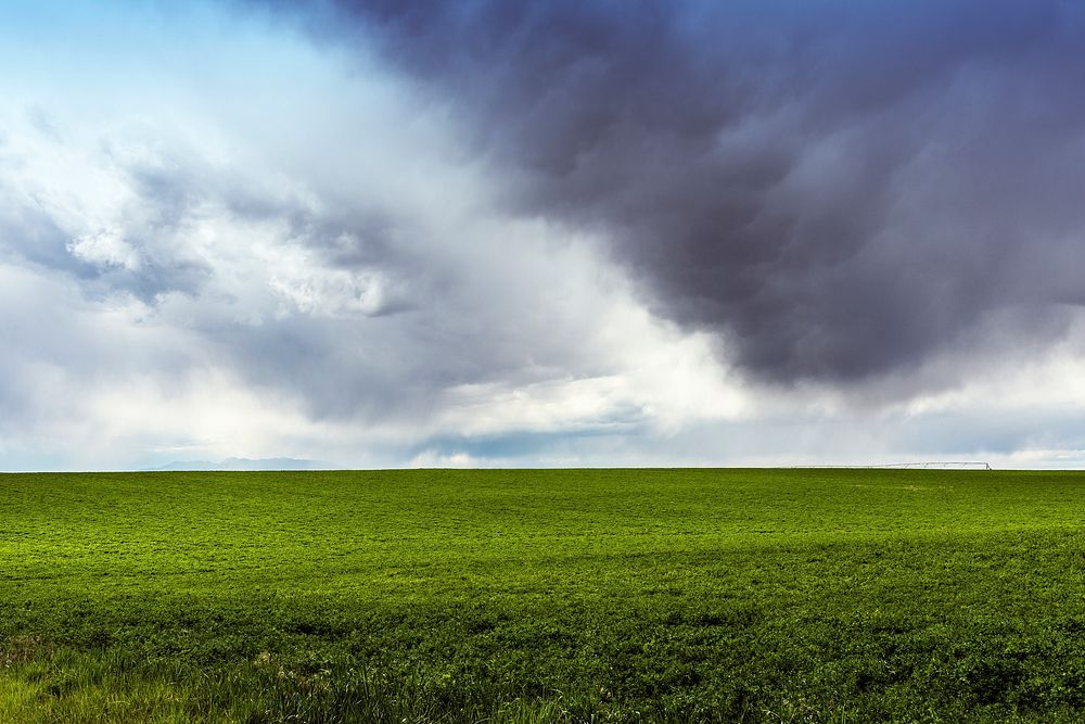 Lush fields under threatening skies in Montezuma County, Colorado, USA - Original image from Carol M. Highsmith&rsquo;s…
