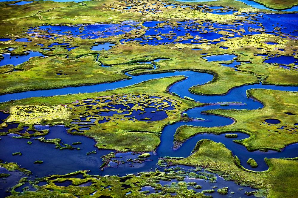 Marshlands on the New Jersey Shore near Little Egg Harbor, New Jersey. Original image from Carol M. Highsmith&rsquo;s…