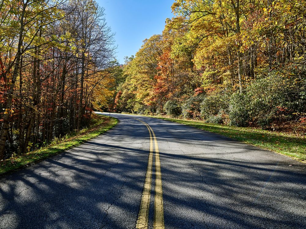 The road curves on the Blue Ridge Parkway, near Foscoe, North Carolina. Original image from Carol M. Highsmith&rsquo;s…