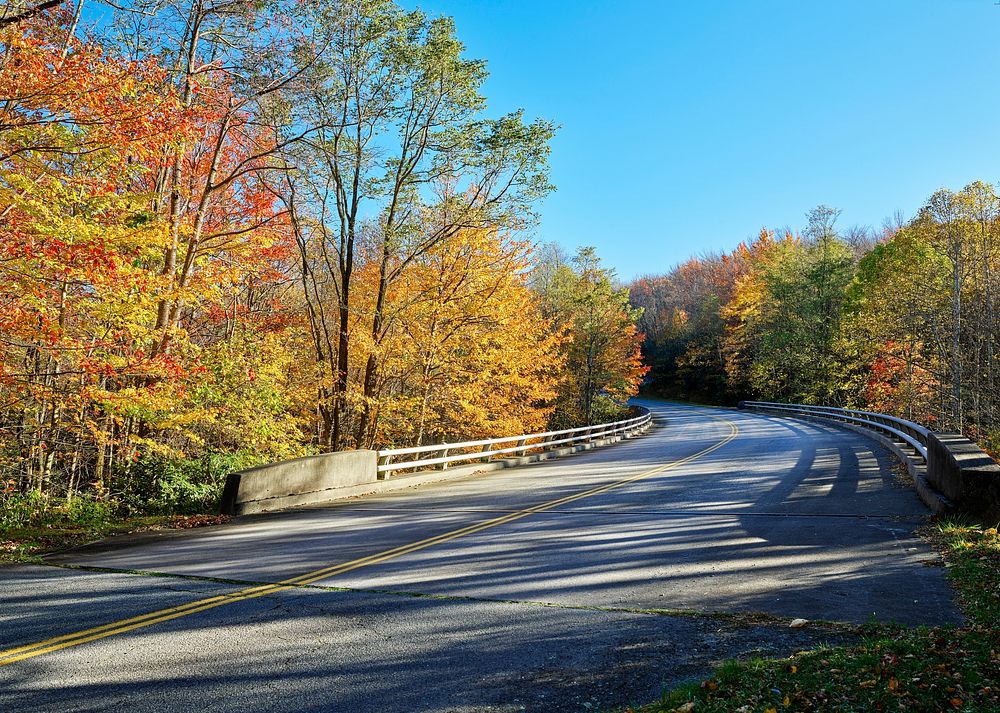 Fall scene on a stretch of roadway along the southern reaches of the Blue Ridge Parkway, near Blowing Rock, North Carolina.
