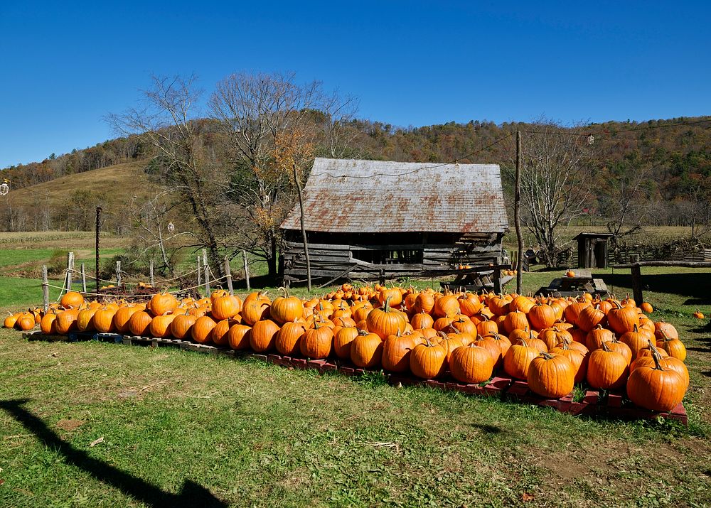Rustic cabin associated with the nearby Mast Farm Inn, and decorated with pumpkins for the fall season, in Valle Crucis…