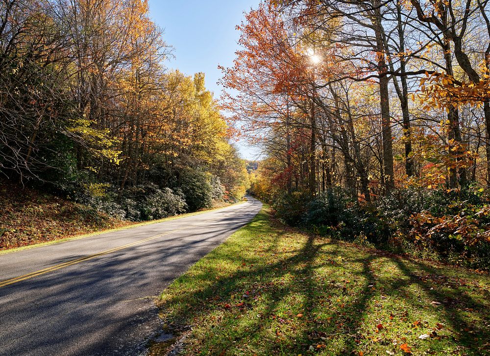 Fall scene on a stretch of roadway along the southern reaches of the Blue Ridge Parkway, near Blowing Rock, North Carolina.…