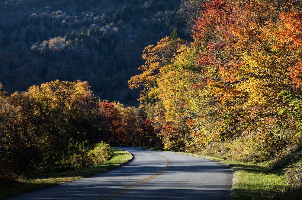 Bend in the roadway along the southern reaches of the Blue Ridge Parkway, near Linville, North Carolina. Original image from…