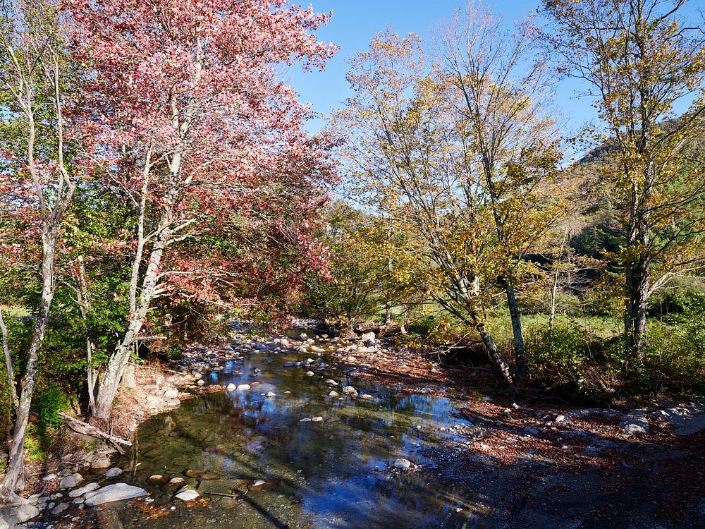 Autumn along the Robbins Branch creek, a tributary of the White River near Ripton, Vermont. Original image from Carol M.…