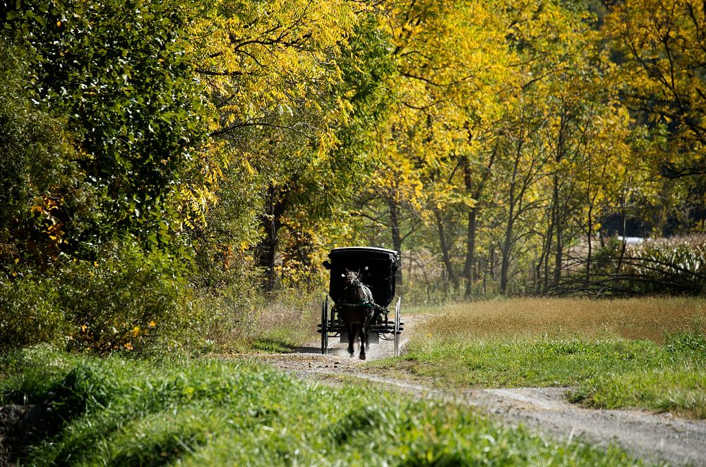 Amish horse with buggy in Holmes County, Ohio. Original image from Carol M. Highsmith&rsquo;s America, Library of Congress…