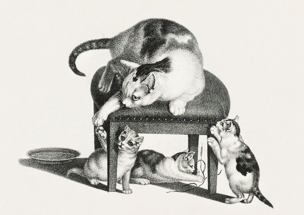 Illustration of domestic cats by Gottfried Mind (1768-1814). Original from Library of Congress. Digitally enhanced by…