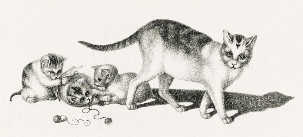 Illustration of domestic cat and three playful kittens by Gottfried Mind (1768-1814). Original from Library of Congress.…
