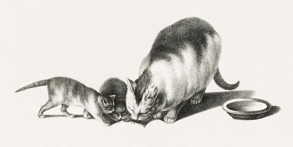 Illustration of domestic cat and kittens by Gottfried Mind (1768-1814). Digitally enhanced from our own original edition.…