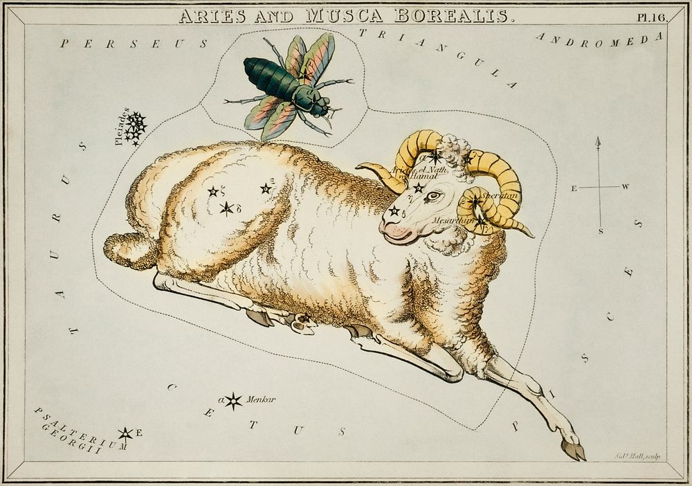 Sidney Hall&rsquo;s (1831) astronomical chart illustration of Aries and Musca Borealis. Original from Library of Congress.…