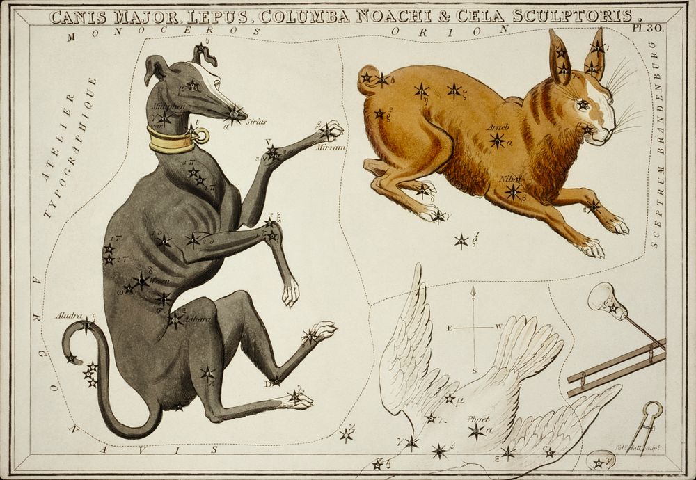 Sidney Hall&rsquo;s (1831) astronomical chart illustration of the Canis Major, Lepus, Columba Noachi and the Cela…