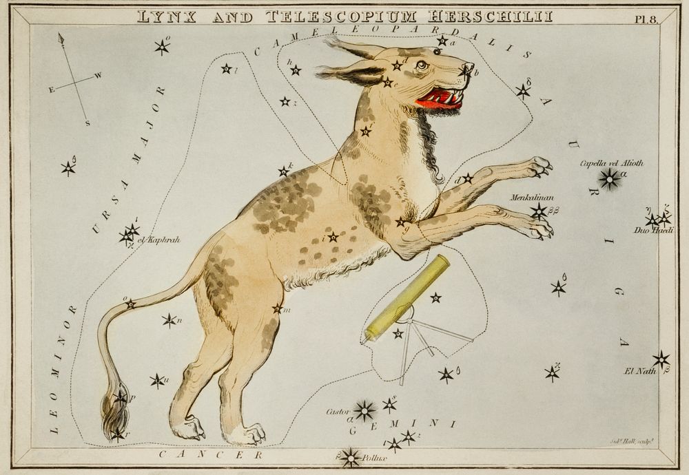 Sidney Hall&rsquo;s (1831) astronomical chart illustration of Lynx and the Telescopium Herschilii. Original from Library of…