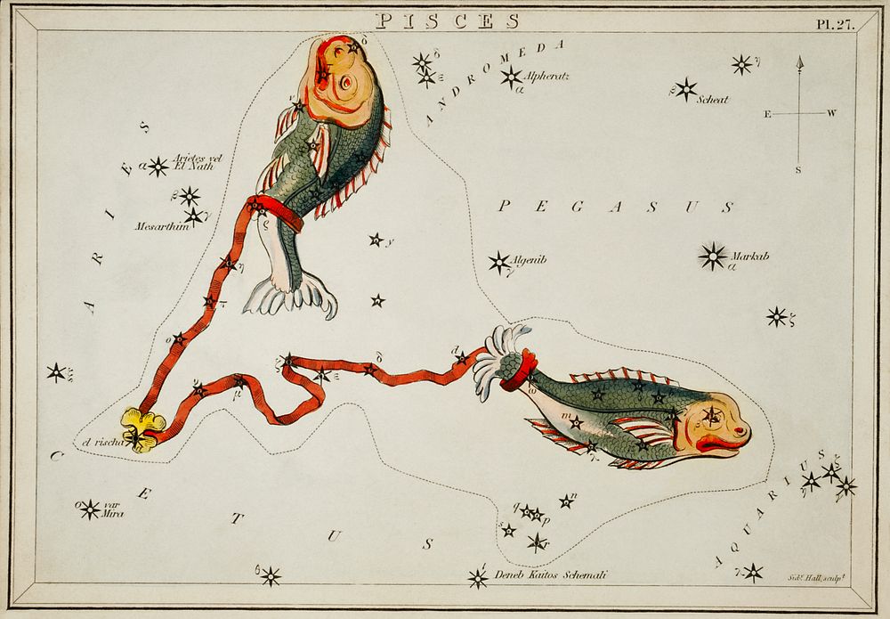 Sidney Hall&rsquo;s (1831) astronomical chart illustration of the Pisces. Original from Library of Congress. Digitally…