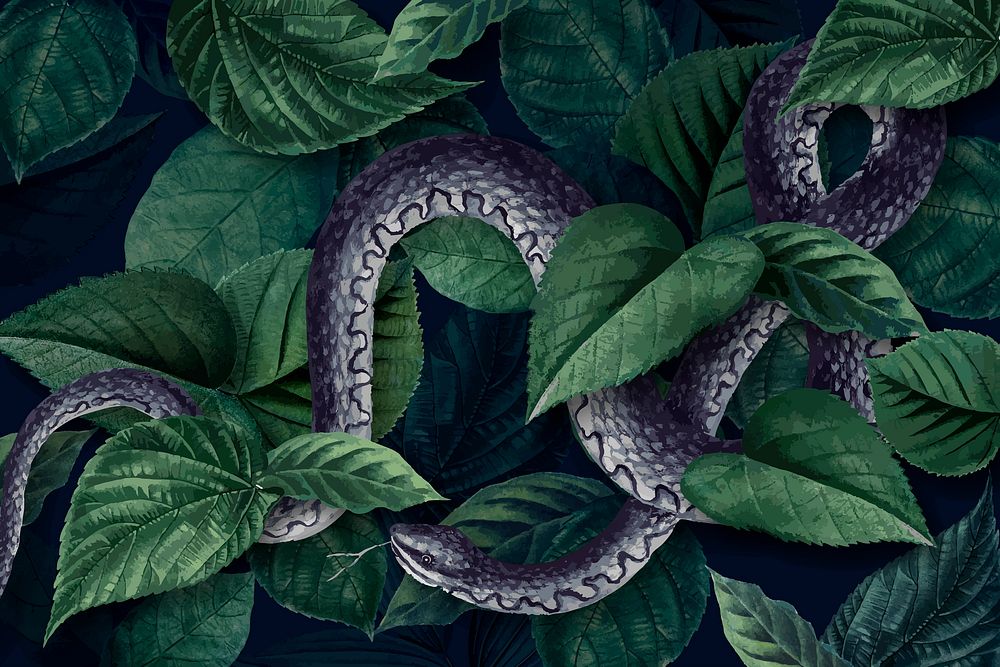 Snake on a leafy background vector