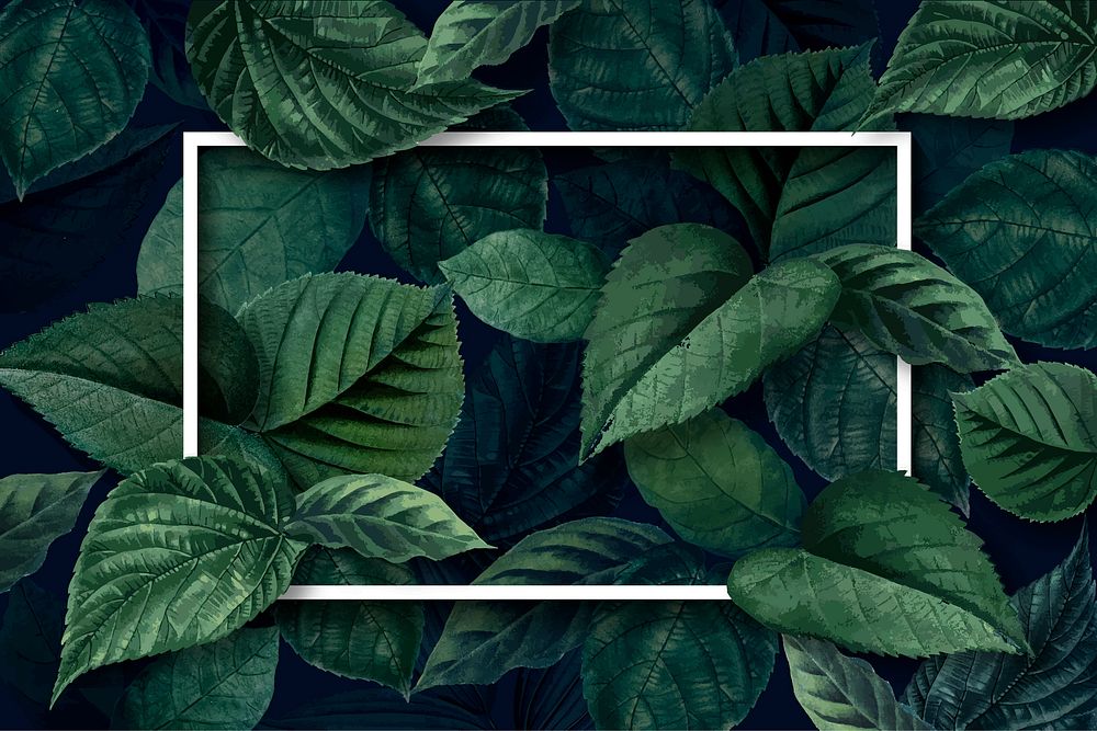 White frame on a metallic green leaves textured background vector