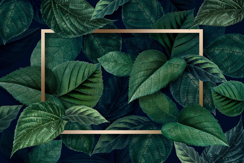 Gold rectangle frame on a  metallic  green leaves textured background illustration