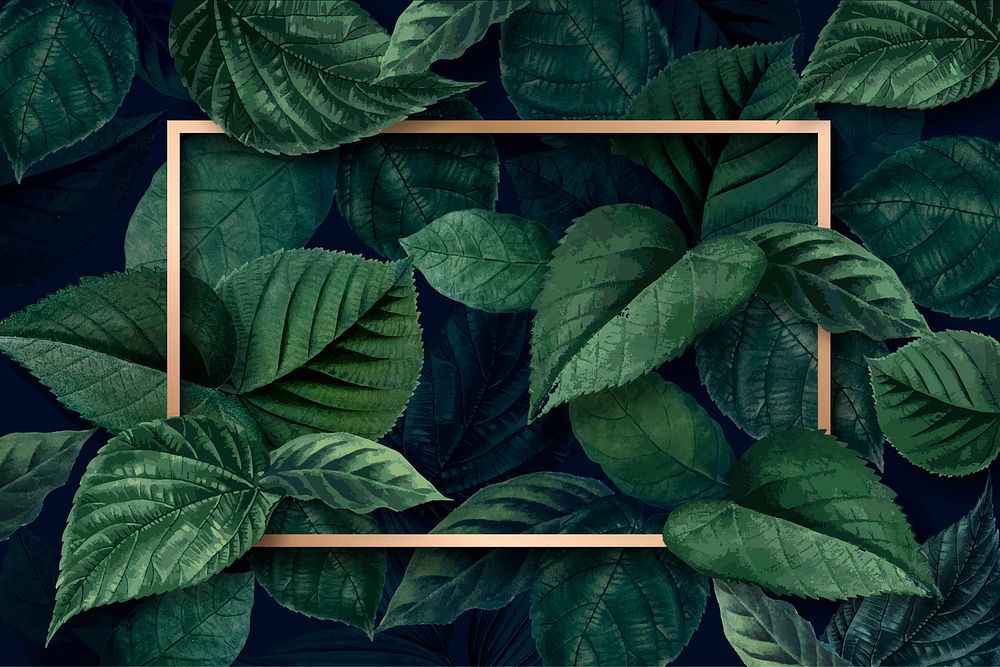 Gold rectangle frame on a metallic green leaves textured background vector