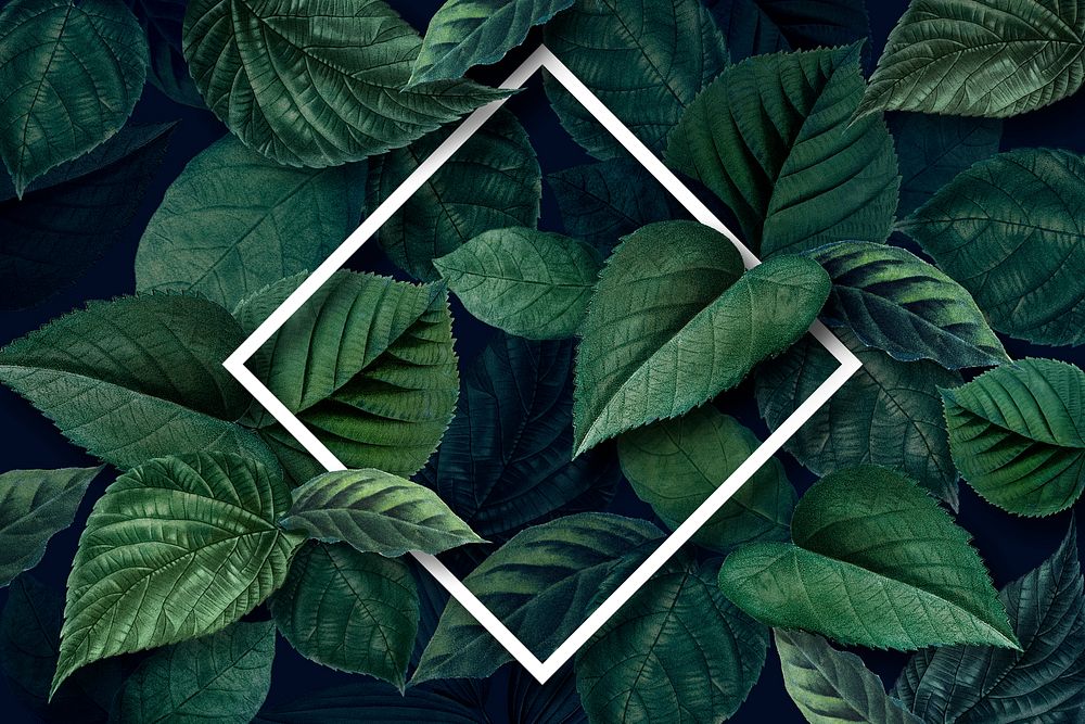 White  rhombus frame on a green leaves textured background