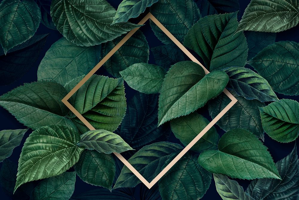 Gold rhombus frame on a green leaves textured background